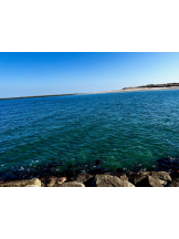 ZOOM - モニカの女の子ブログ画像