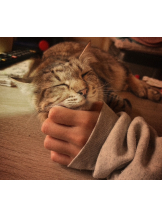 ZOOM - モニカの女の子ブログ画像