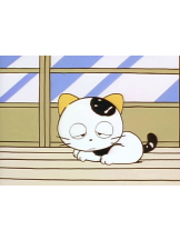 ZOOM - モニカの女の子ブログ画像