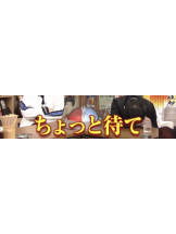 ZOOM - モニカの女の子ブログ画像