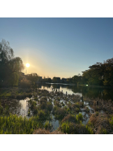 ZOOM - モニカの女の子ブログ画像