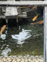 Club PiPi - もえの女の子ブログ画像