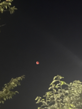 Club PiPi - もえの女の子ブログ画像