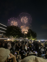 シナモン - ももかの女の子ブログ画像