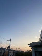 シナモン - ももかの女の子ブログ画像