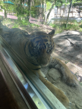 シナモン - ももかの女の子ブログ画像