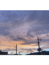 シナモン - ももかの女の子ブログ画像