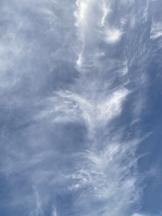 シナモン - ももかの女の子ブログ画像