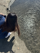 シナモン - ももかの女の子ブログ画像