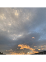 シナモン - ももかの女の子ブログ画像