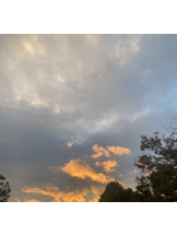 シナモン - ももかの女の子ブログ画像