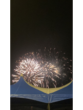 シナモン - ももかの女の子ブログ画像