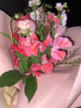 シナモン - ももかの女の子ブログ画像