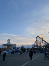 シナモン - ももかの女の子ブログ画像