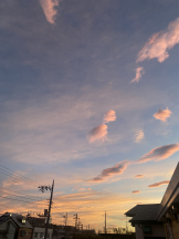 シナモン - ももかの女の子ブログ画像