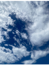 シナモン - ももかの女の子ブログ画像