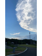 シナモン - ももかの女の子ブログ画像