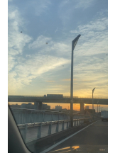 シナモン - ももかの女の子ブログ画像