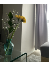 シナモン - ももかの女の子ブログ画像