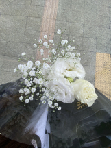 シナモン - ももかの女の子ブログ画像