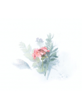 Alegria - ひなのの女の子ブログ画像