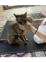 アチュゲッチュ - りょうの女の子ブログ画像