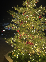 みつばちマーヤZ - ゆめあの女の子ブログ画像