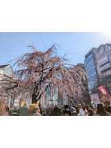 エンジェルキッス 池袋 - みなみの女の子ブログ画像