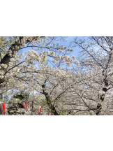 アチュゲッチュ - さやかの女の子ブログ画像