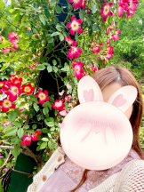 ベイビーモコ - ゆりの女の子ブログ画像