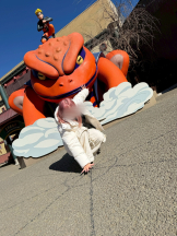 武蔵小杉 シュシュ - まどかの女の子ブログ画像