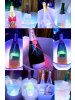 ベイビーモコ - 初号機の女の子ブログ画像
