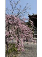 Candy kiss - ななの女の子ブログ画像