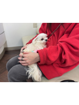 クリステル - すずかの女の子ブログ画像