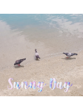 さくらん　関内 - ここあの女の子ブログ画像