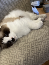 JULIE＆ANNA Tokyo - そらの女の子ブログ画像