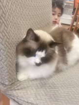 JULIE＆ANNA Tokyo - そらの女の子ブログ画像