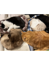 JULIE＆ANNA Tokyo - そらの女の子ブログ画像