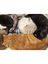 JULIE＆ANNA Tokyo - そらの女の子ブログ画像