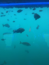 JULIE＆ANNA Tokyo - そらの女の子ブログ画像