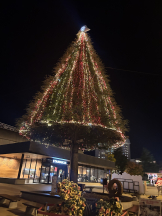 club J - ウミの女の子ブログ画像