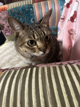 club J - ウミの女の子ブログ画像