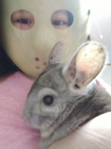 JULIE＆ANNA Tokyo - まなの女の子ブログ画像