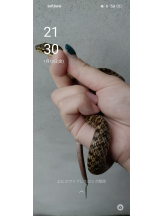 JULIE＆ANNA Tokyo - まなの女の子ブログ画像