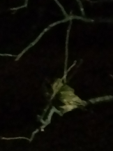 JULIE＆ANNA Tokyo - まなの女の子ブログ画像