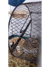 JULIE＆ANNA Tokyo - まなの女の子ブログ画像