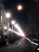 JULIE＆ANNA Tokyo - まなの女の子ブログ画像