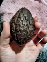 JULIE＆ANNA Tokyo - まなの女の子ブログ画像