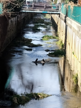 JULIE＆ANNA Tokyo - まなの女の子ブログ画像