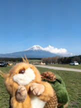 JULIE＆ANNA Tokyo - まなの女の子ブログ画像